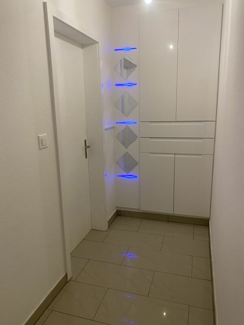 Large 4-room apartment (4)