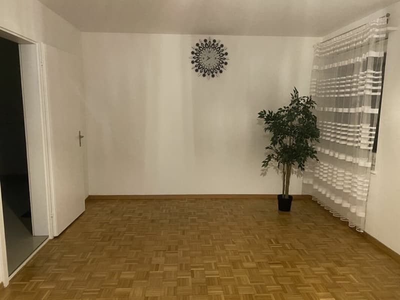 Large 4-room apartment (6)