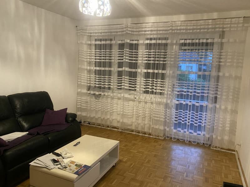 Large 4-room apartment (7)