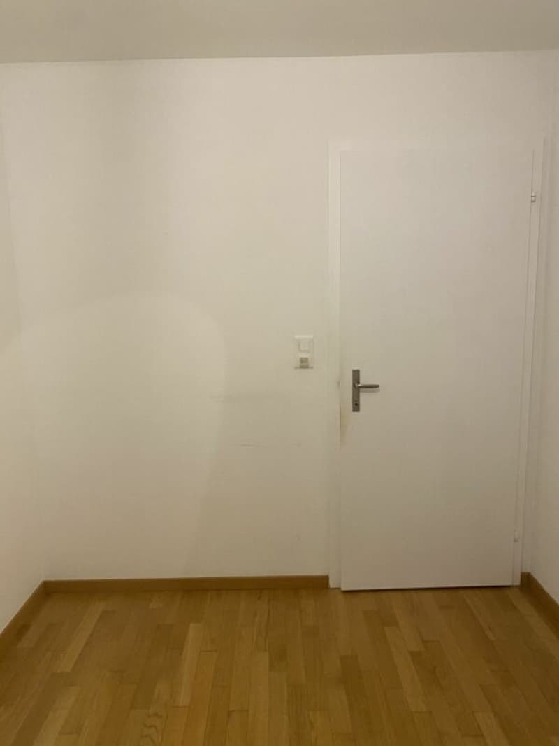 Large 4-room apartment (2)