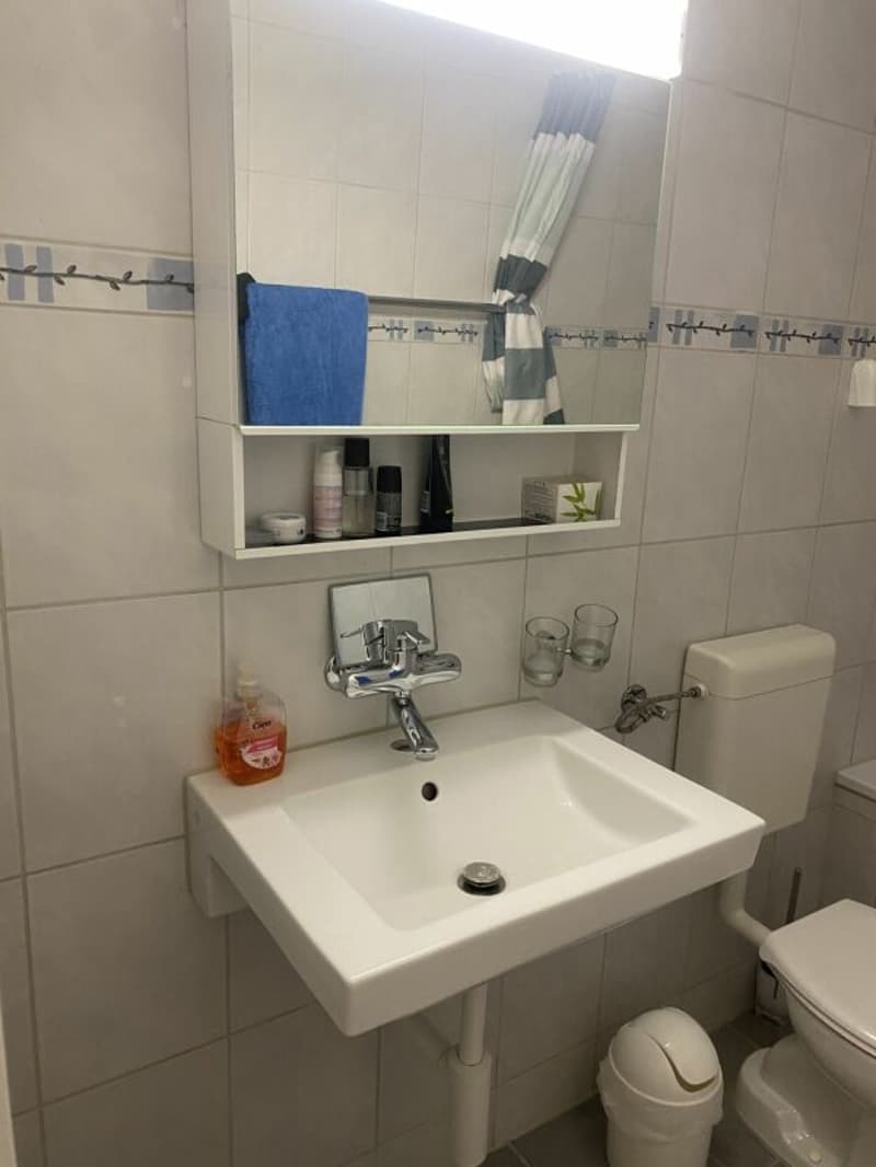Large 4-room apartment (8)