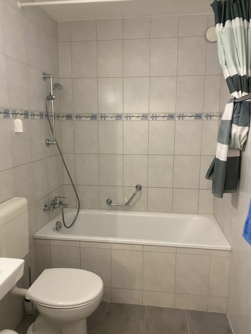 Large 4-room apartment (9)