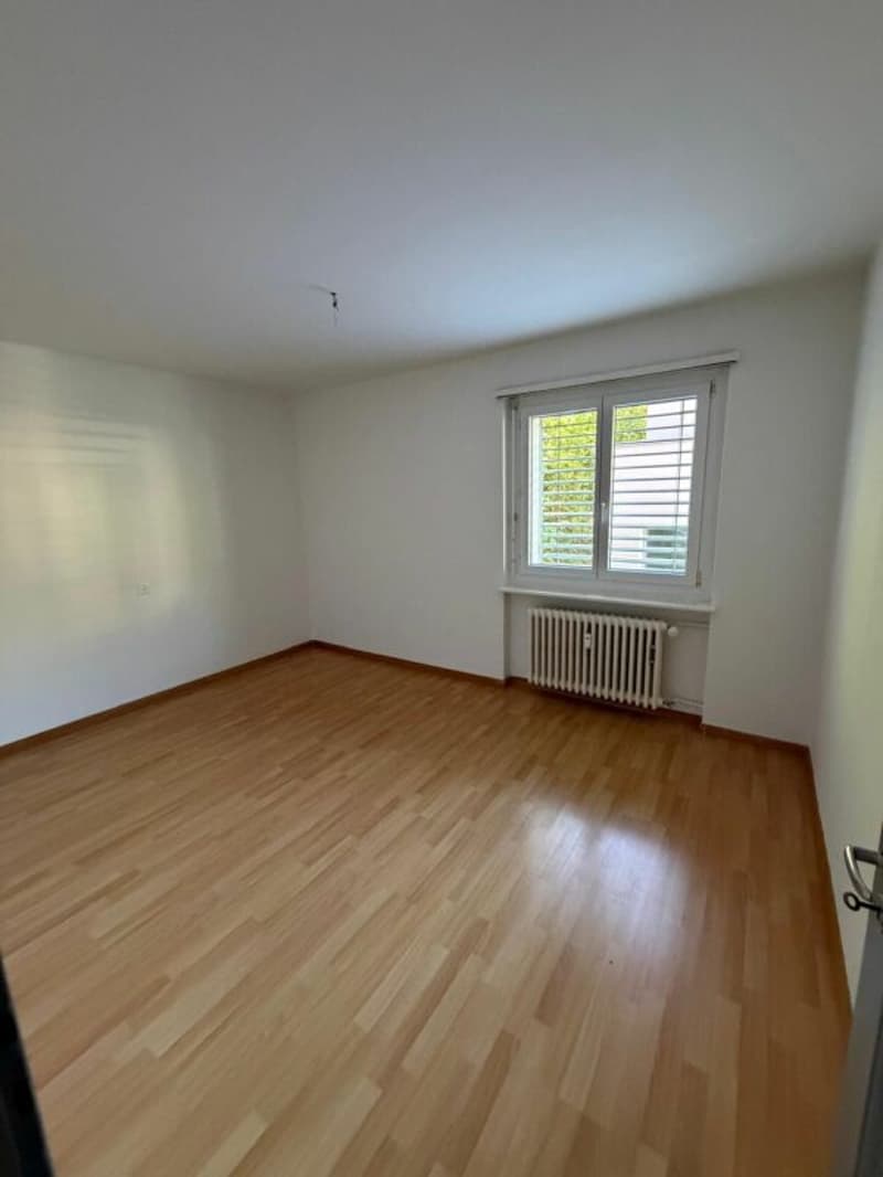 helle und schöne 3 Zimmerwohnung (3)