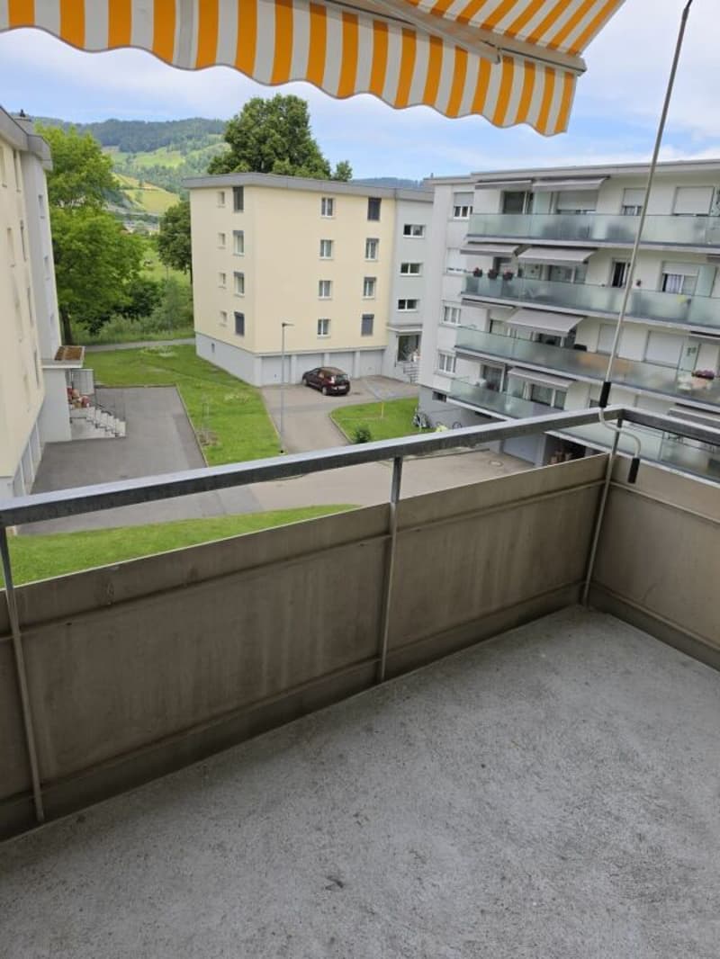 Bello appartamento di 3 camere (12)