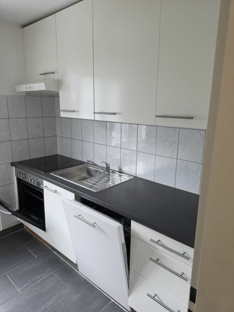 Bello appartamento di 3 camere (1)