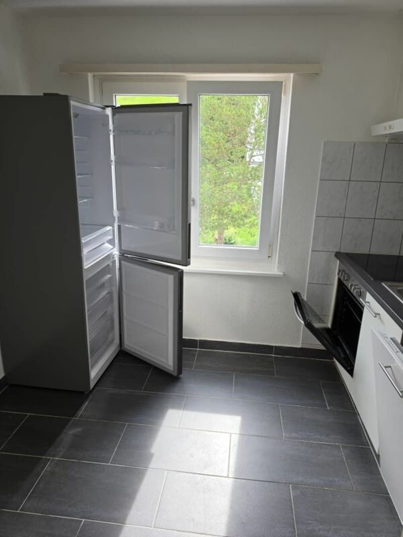 Bello appartamento di 3 camere (3)