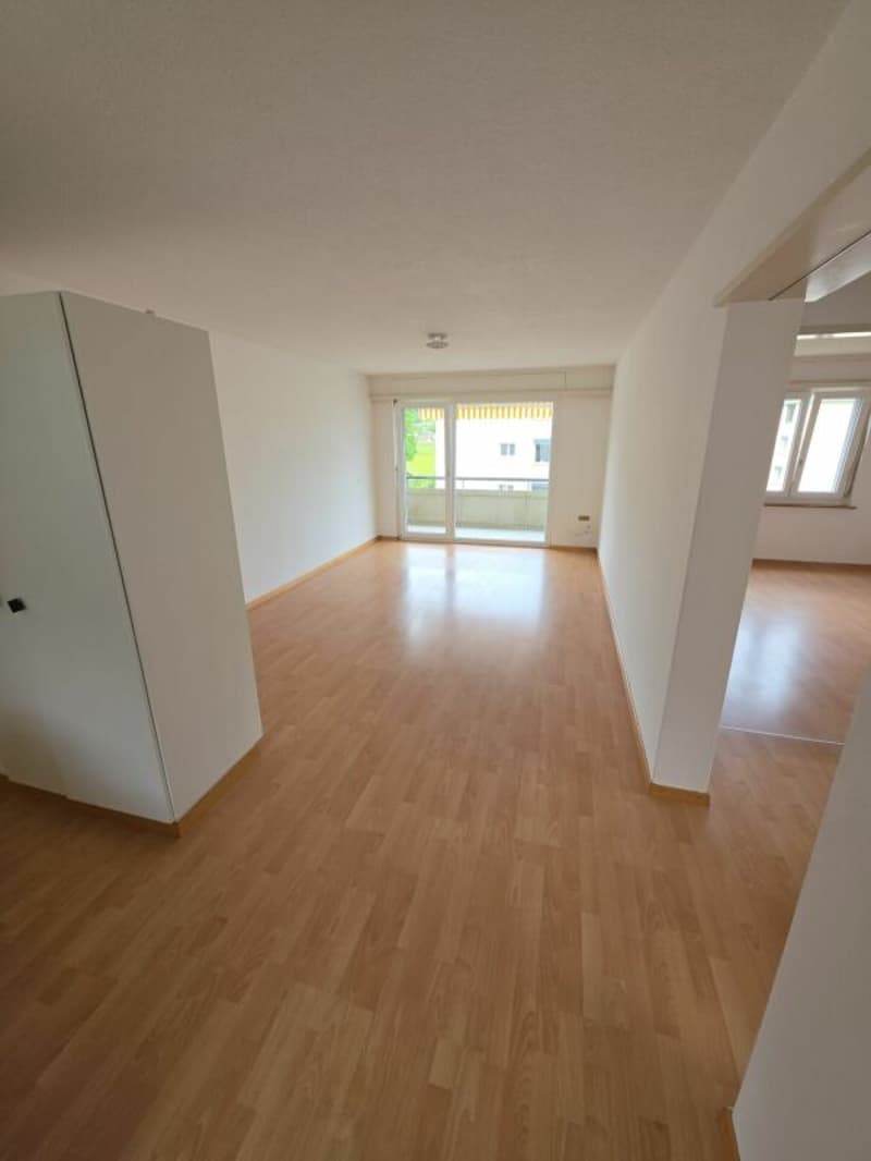 Bello appartamento di 3 camere (8)