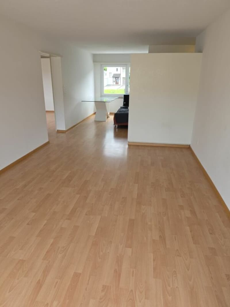 Bello appartamento di 3 camere (5)