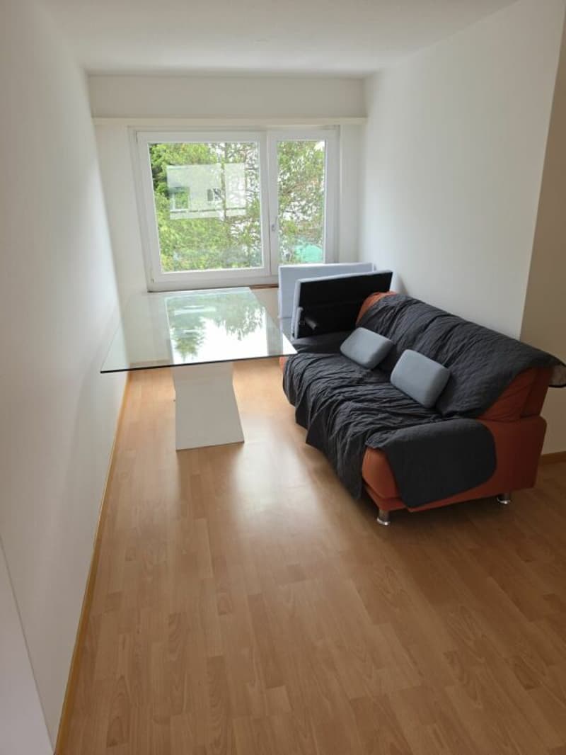 Bello appartamento di 3 camere (4)
