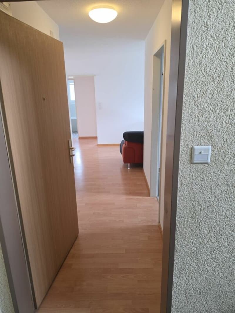 Bello appartamento di 3 camere (6)