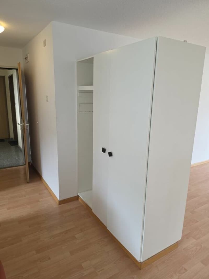 Bello appartamento di 3 camere (11)