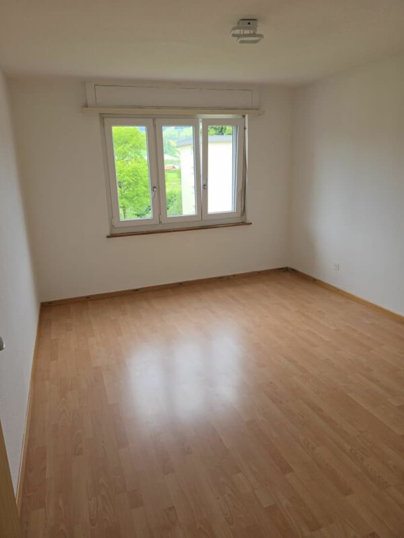 Bello appartamento di 3 camere (10)