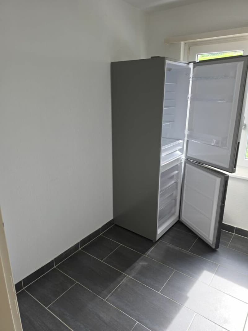 Bello appartamento di 3 camere (2)
