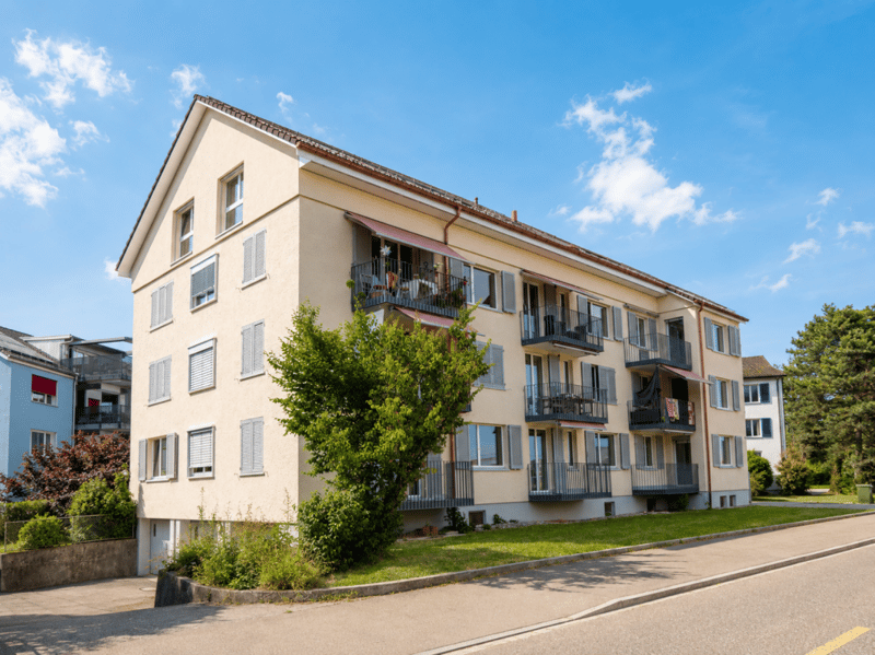 2,5 pièces, première occupation après rénovation totale (1)