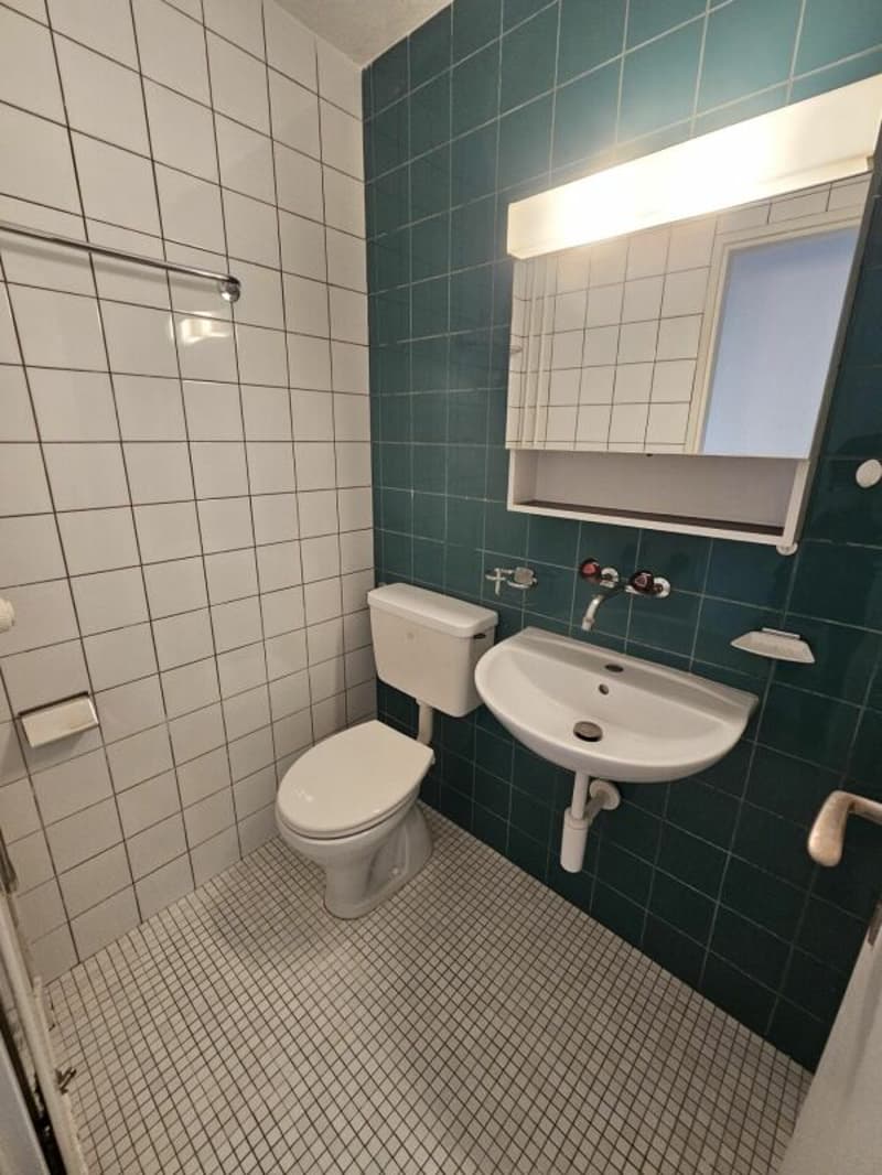 Befristet 5 Zimmerwohnung (9)
