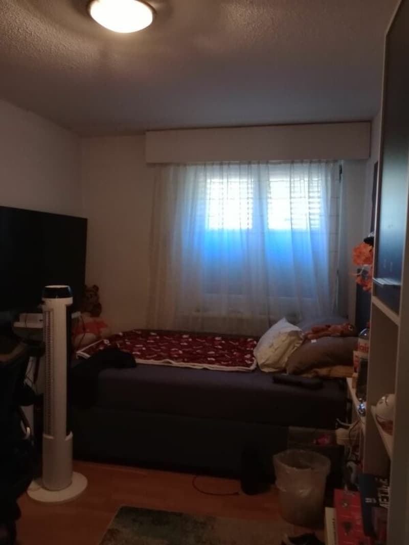angenehme 4 Zimmerwohnung (7)