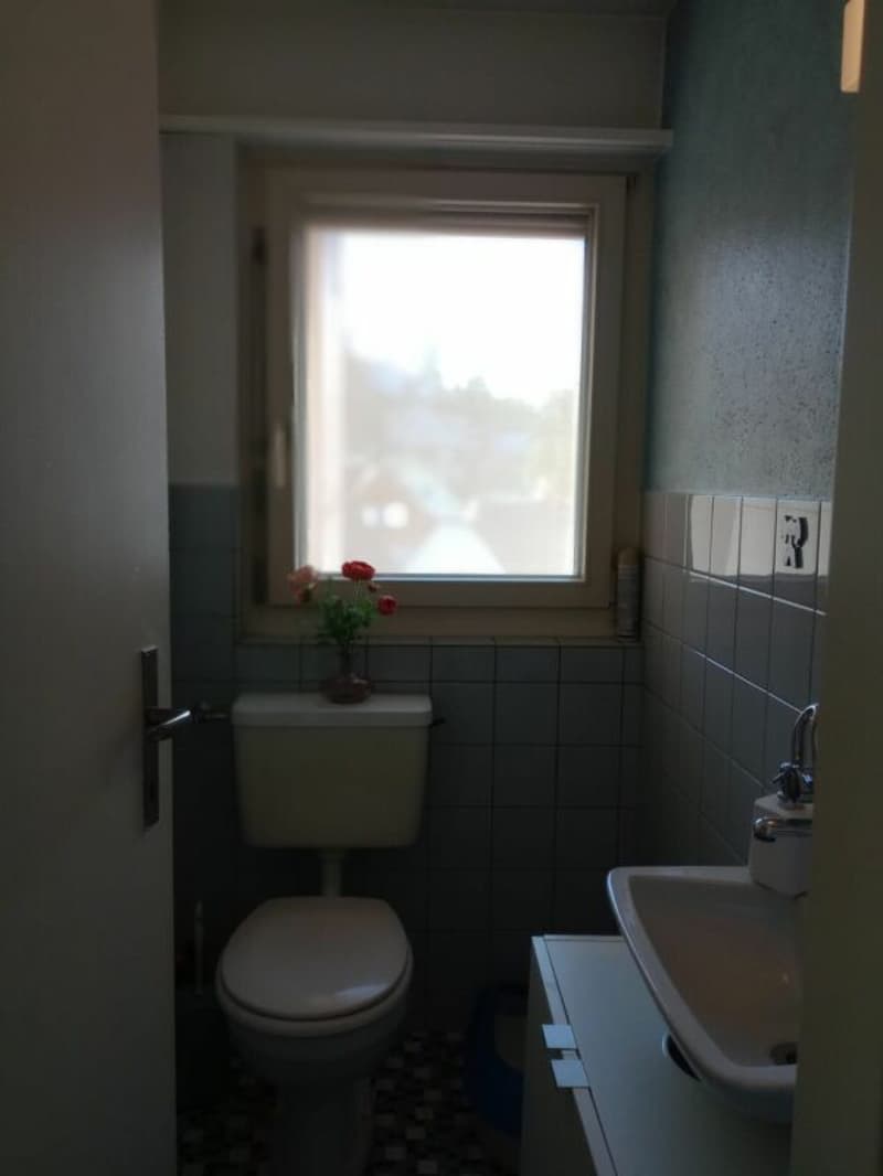angenehme 4 Zimmerwohnung (12)