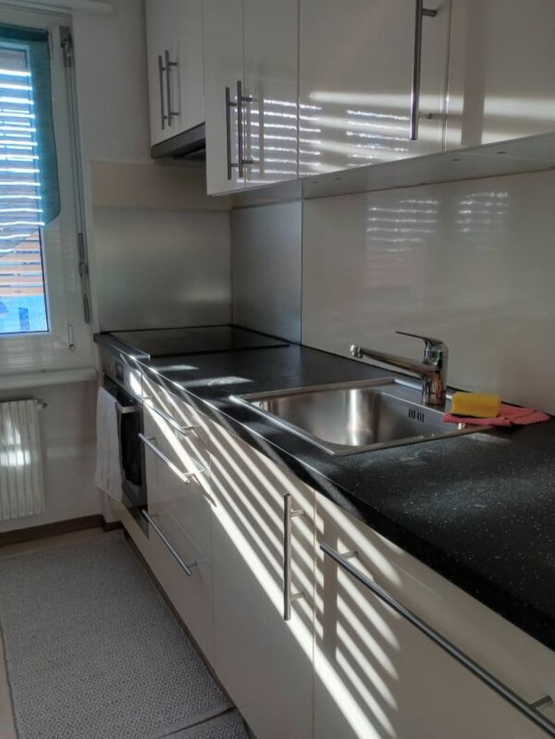 angenehme 4 Zimmerwohnung (2)