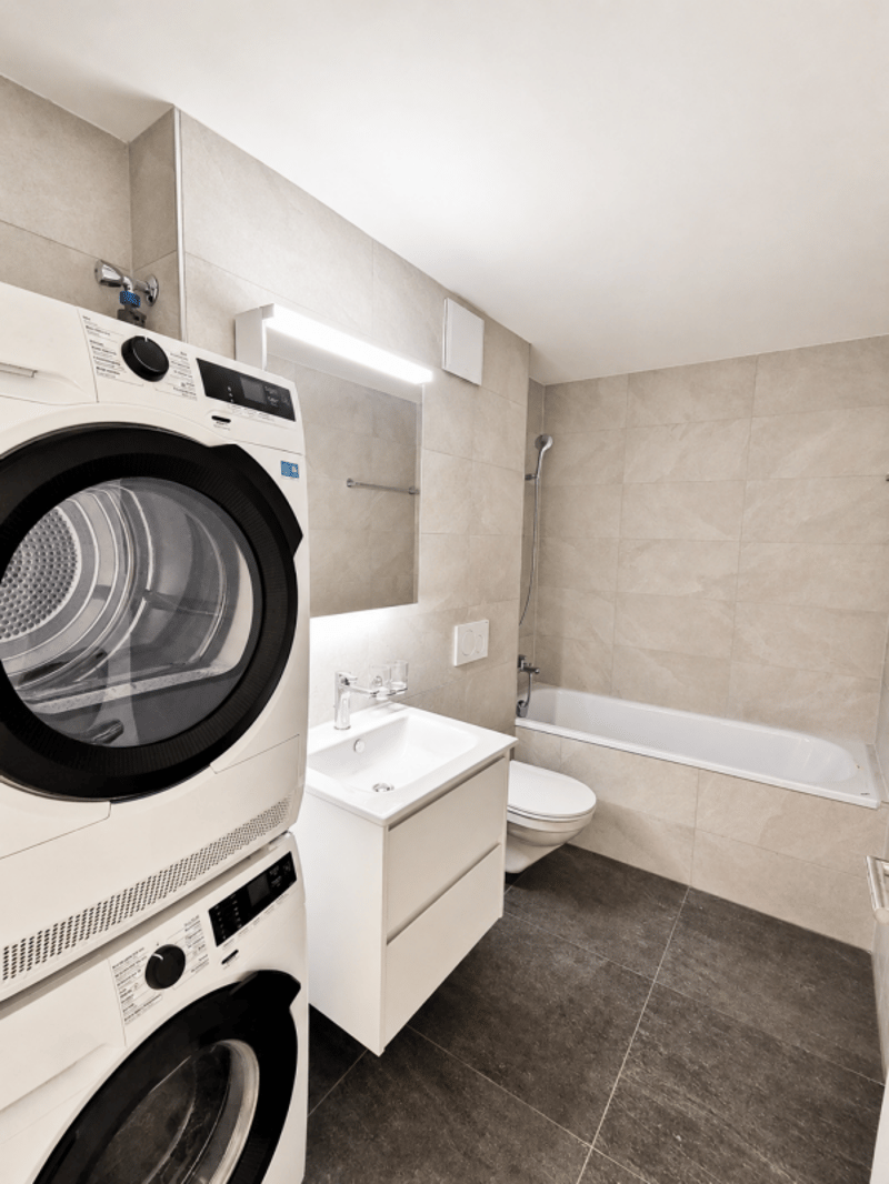 neu renovierte 1.5 Zimmerwohnung (10)