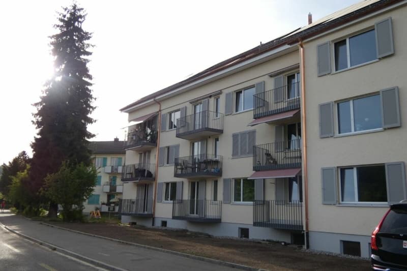 2.5 ZWG, Erstbezug nach umfassender Totalrenovation (1)