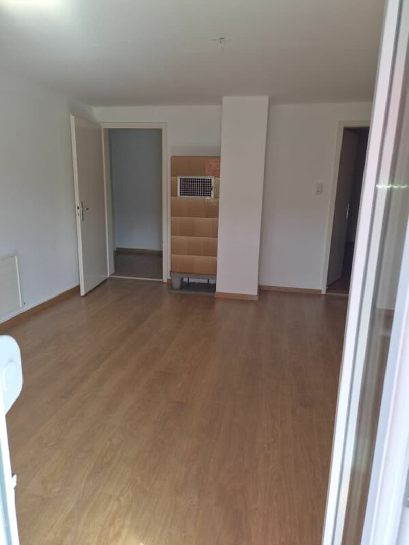 grosse 4 Zimmerwohnung (3)