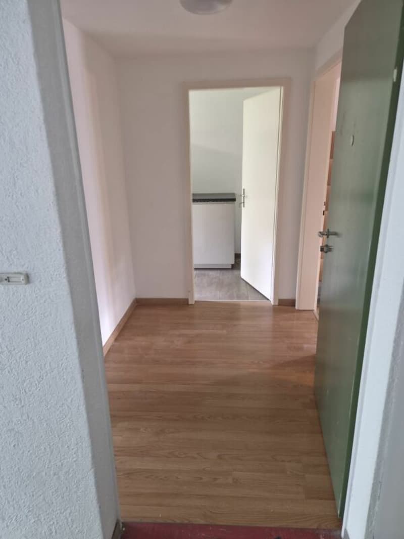 grosse 4 Zimmerwohnung (5)
