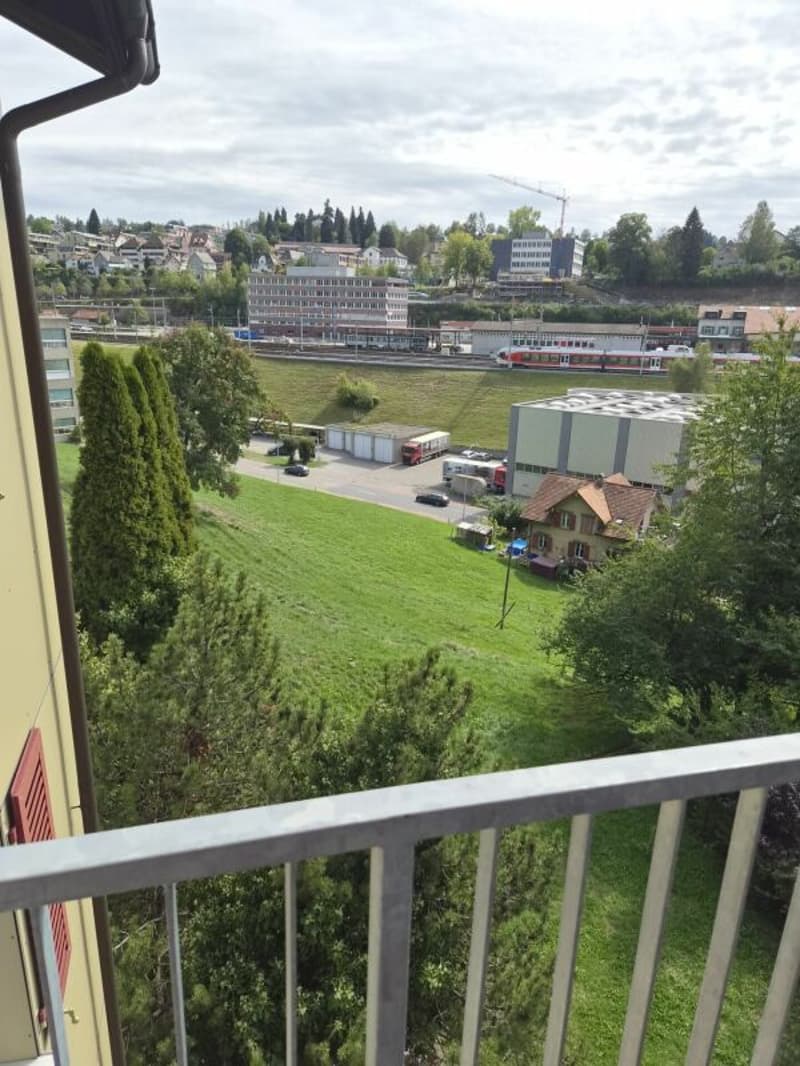 grosse 4 Zimmerwohnung (11)