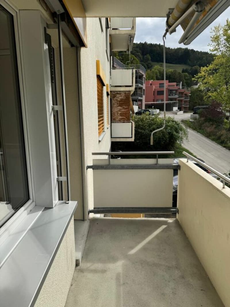 angenehme 3 Zimmerwohnung (13)