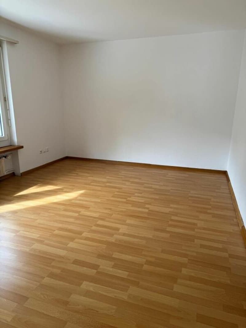angenehme 3 Zimmerwohnung (8)