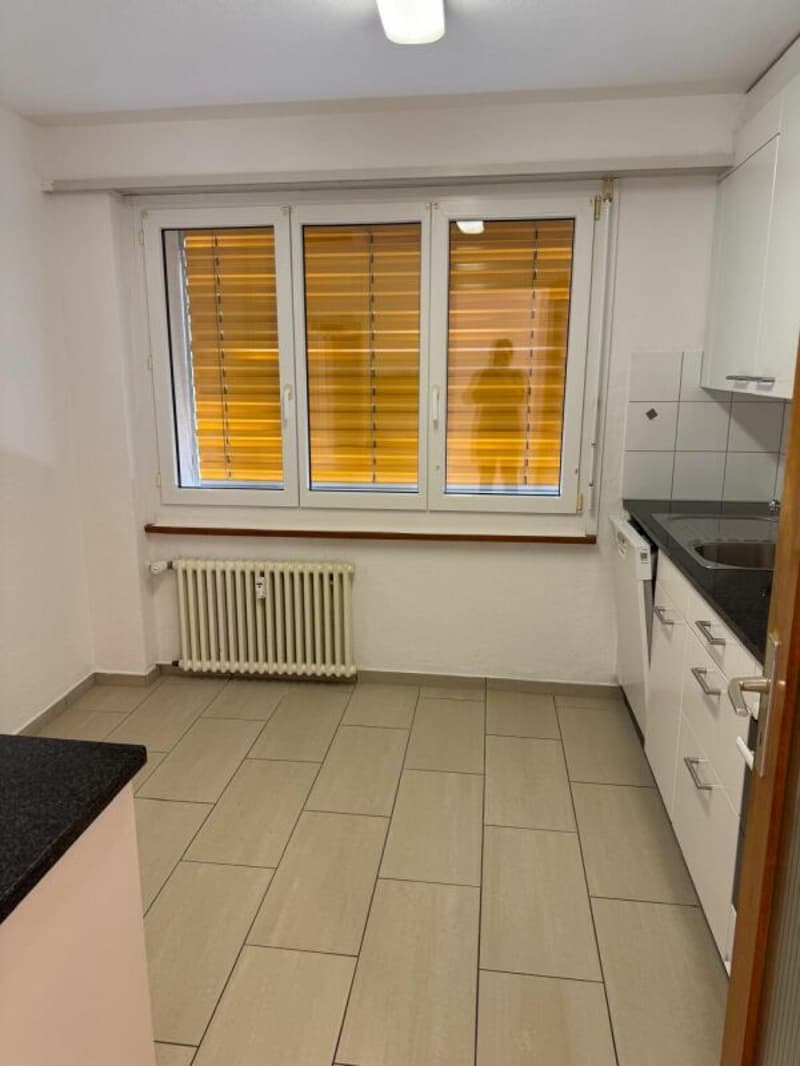 angenehme 3 Zimmerwohnung (3)