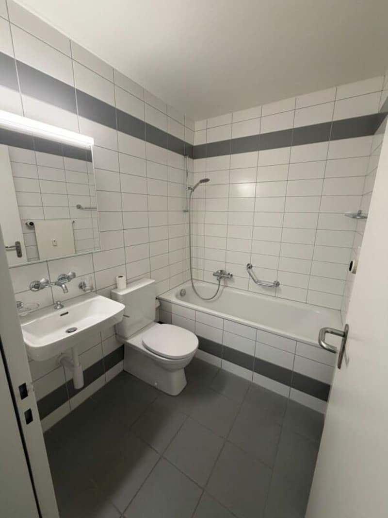 schöne 2.5 Zimmerwohnung (10)