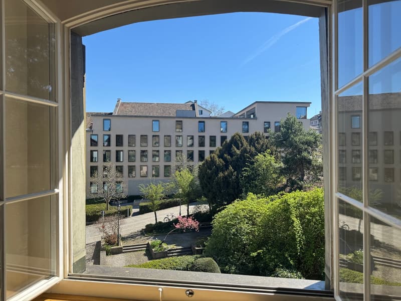 Charmante 3.5-Zimmer-Dachwohnung mitten in der Zürcher Altstadt (5)