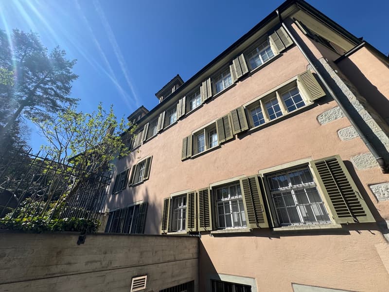 Charmante 3.5-Zimmer-Dachwohnung mitten in der Zürcher Altstadt (1)