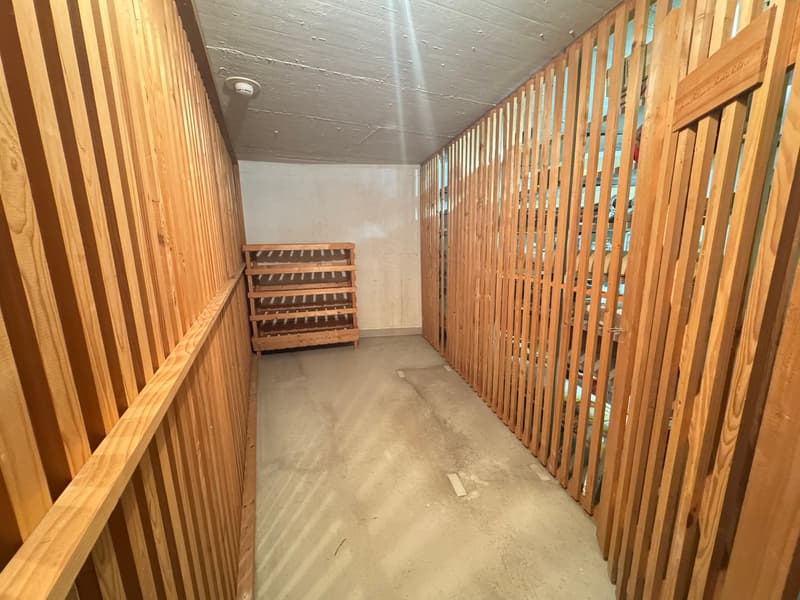 Charmante 3.5-Zimmer-Dachwohnung mitten in der Zürcher Altstadt (15)