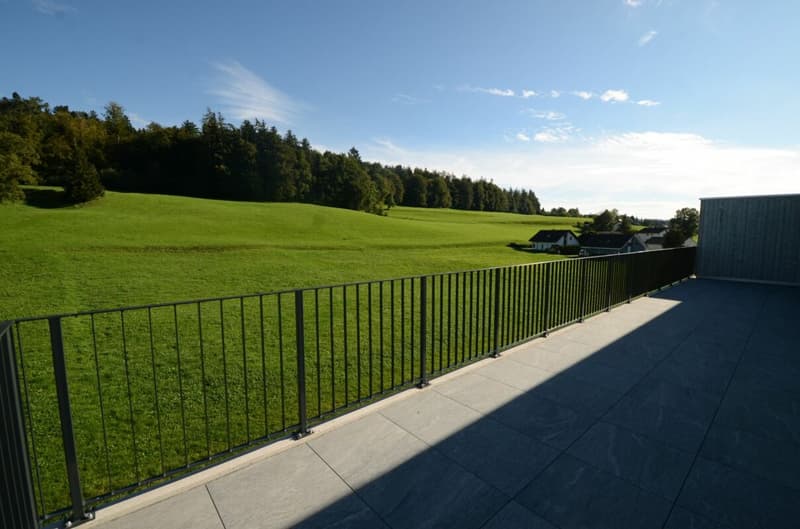 Traumhafte Attikawohnung an ländlicher Lage (7)