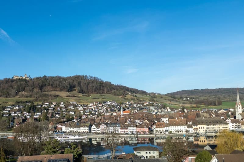 Modern 4.5-room apartment with large balcony - just a few steps from the train station (16)