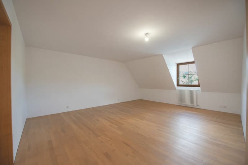 Exklusive Dachwohnung mit traumhaftem Rheinblick (8)