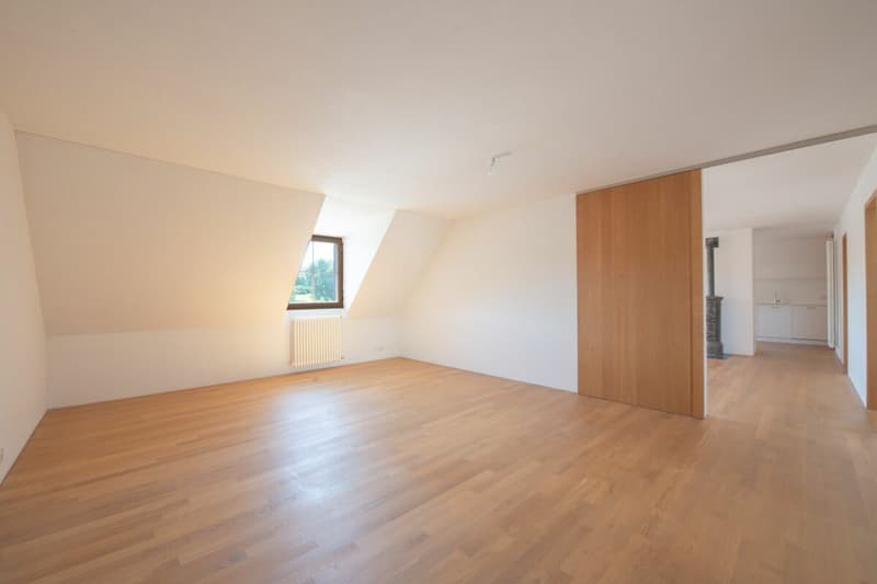Exklusive Dachwohnung mit traumhaftem Rheinblick (7)