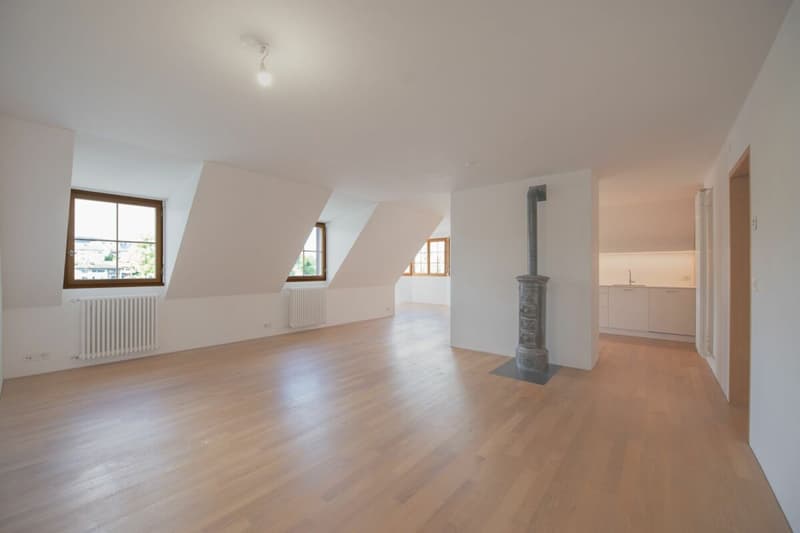 Exklusive Dachwohnung mit traumhaftem Rheinblick (2)