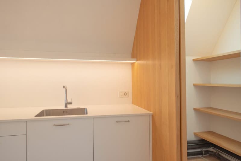 Exklusive Dachwohnung mit traumhaftem Rheinblick (6)