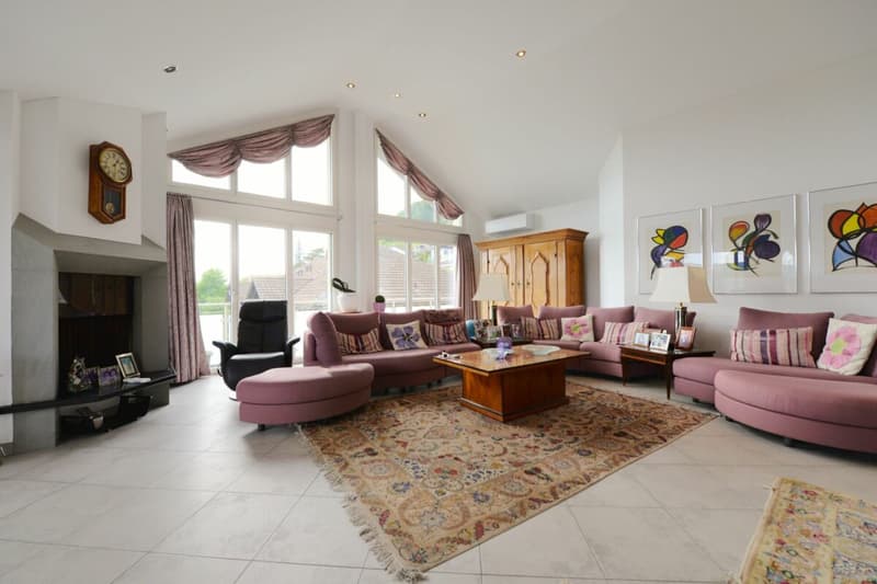 Dream apartment on Klingenberg (5)