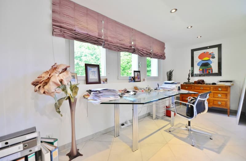 Dream apartment on Klingenberg (12)