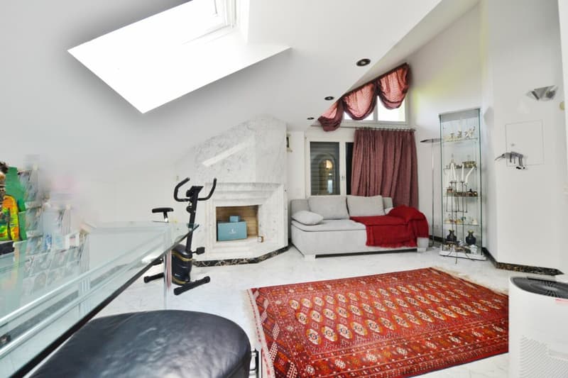 Dream apartment on Klingenberg (13)