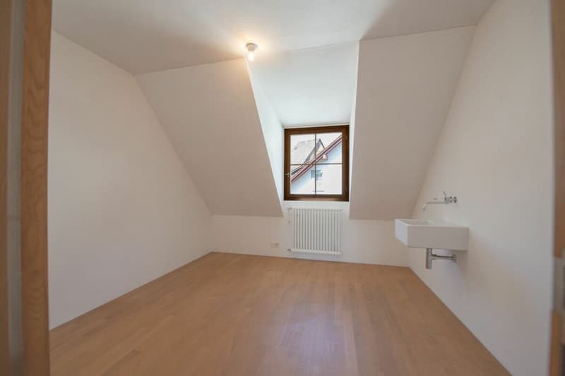 Exklusive Dachwohnung mit traumhaftem Rheinblick (9)
