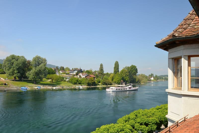 Exklusive Dachwohnung mit traumhaftem Rheinblick (4)