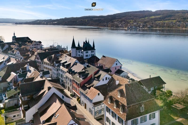 Steckborn, ein malerisches Städtchen am Bodensee, verzaubert mit seinem historischen Charme und der idyllischen Seepromenade.  / a small town with a lake in the background and a row of houses in the