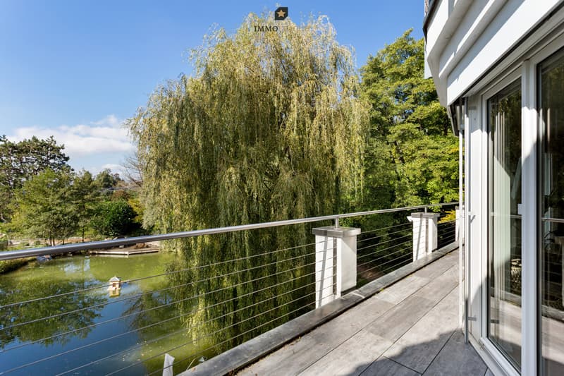 Seltene Gelegenheit: Villa mit Privatweiher an idyllischer Lage. (8)