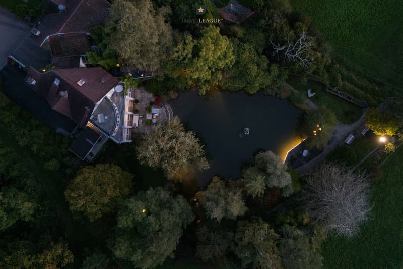 Seltene Gelegenheit: Villa mit Privatweiher an idyllischer Lage. (3)