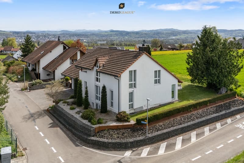 Einzigartiges Familienidyll im Steuerparadies Weiningen!