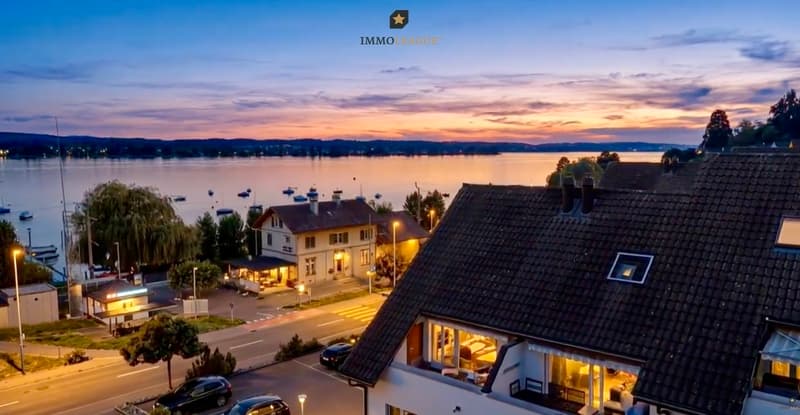Weitblick über den Untersee